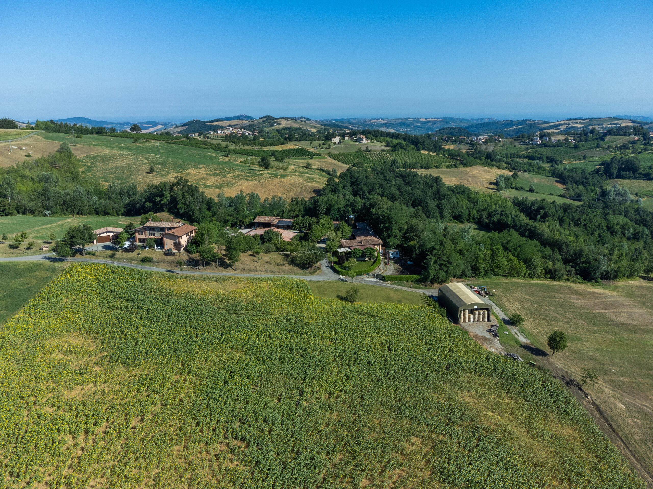 Il Boscasso Soc. Agr. — foto 2